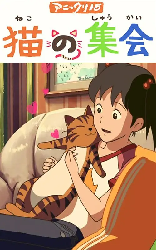 《美腿丝袜》在线看