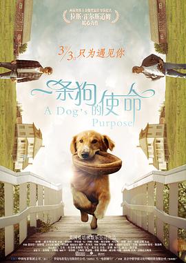 波多野结衣电影资源