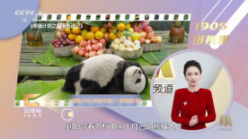 神之塔动漫免费观看全集